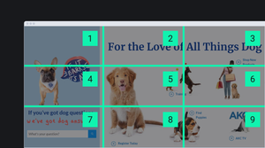 Сетка на сайте Американского клуба собаководства. Описание перед примером.