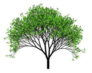 Пример сгенерированного дерева.