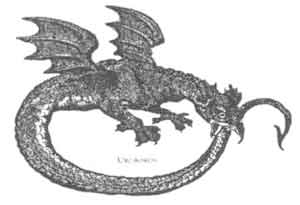 Иллюстрация дракон держит в зубах свой хвост